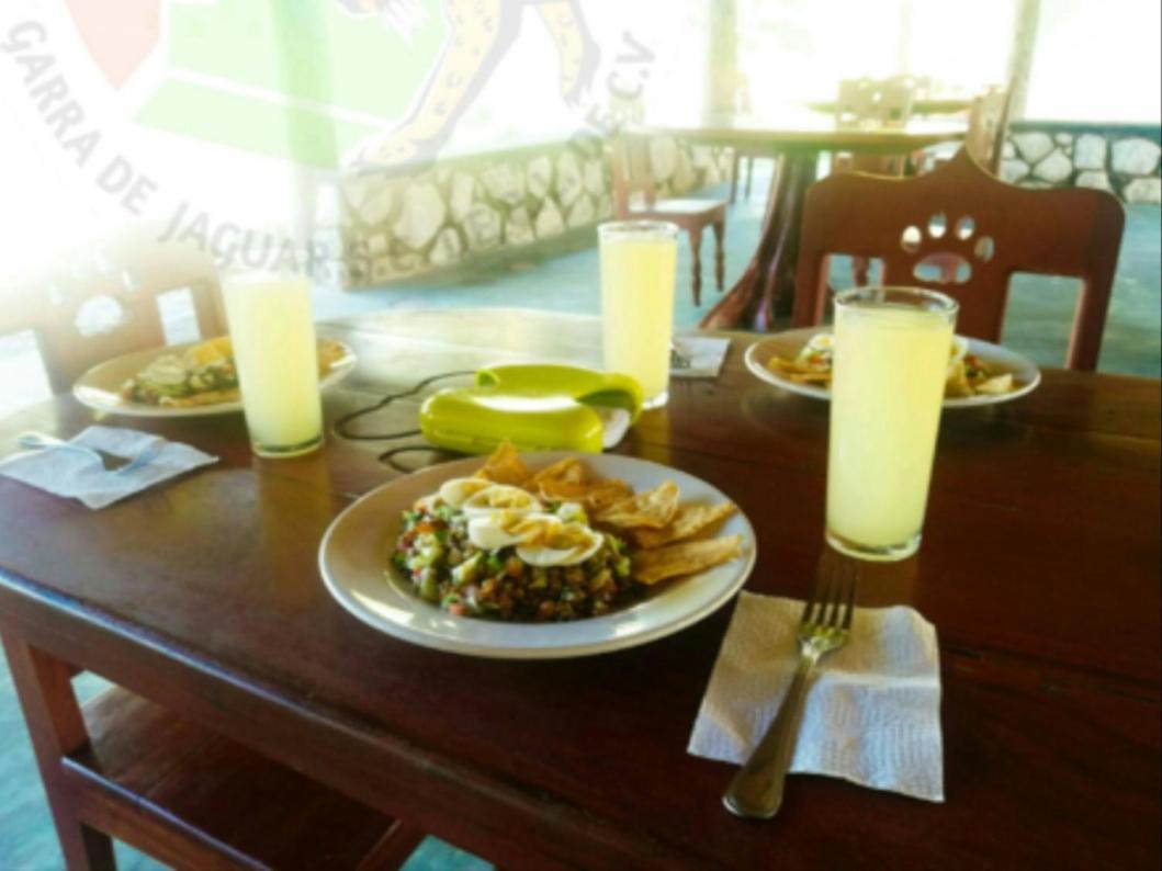 Servicios Turisticos Garra De Jaguar Conhuas エクステリア 写真